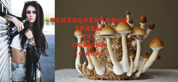 первитин Сатка