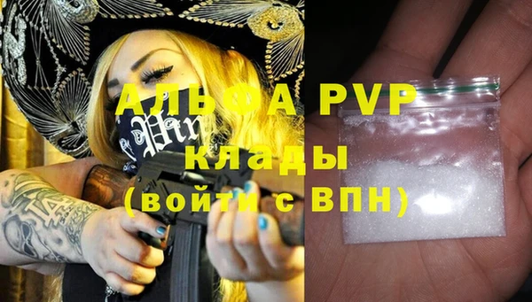 гидра Верхний Тагил