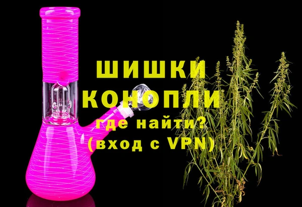 гидра Верхний Тагил