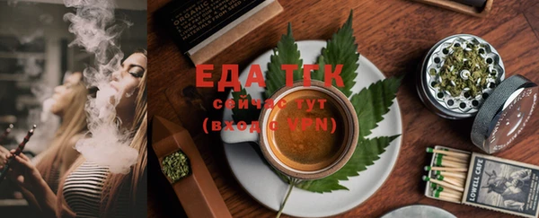 гидра Верхний Тагил