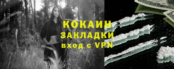 гидра Верхний Тагил