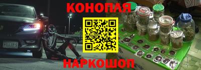 прущие крисы Обь
