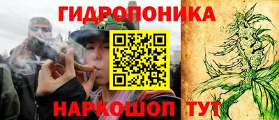 прущие крисы Обь