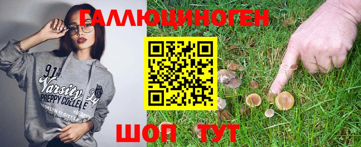 Псилоцибиновые грибы Psilocybine cubensis Рузаевка