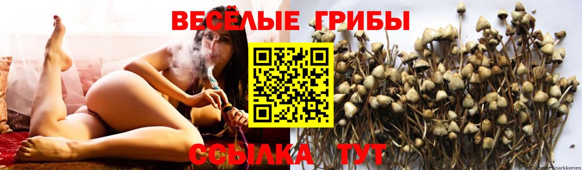 Рузаевка  Псилоцибиновые грибы ЛСД  Вход с VPN 